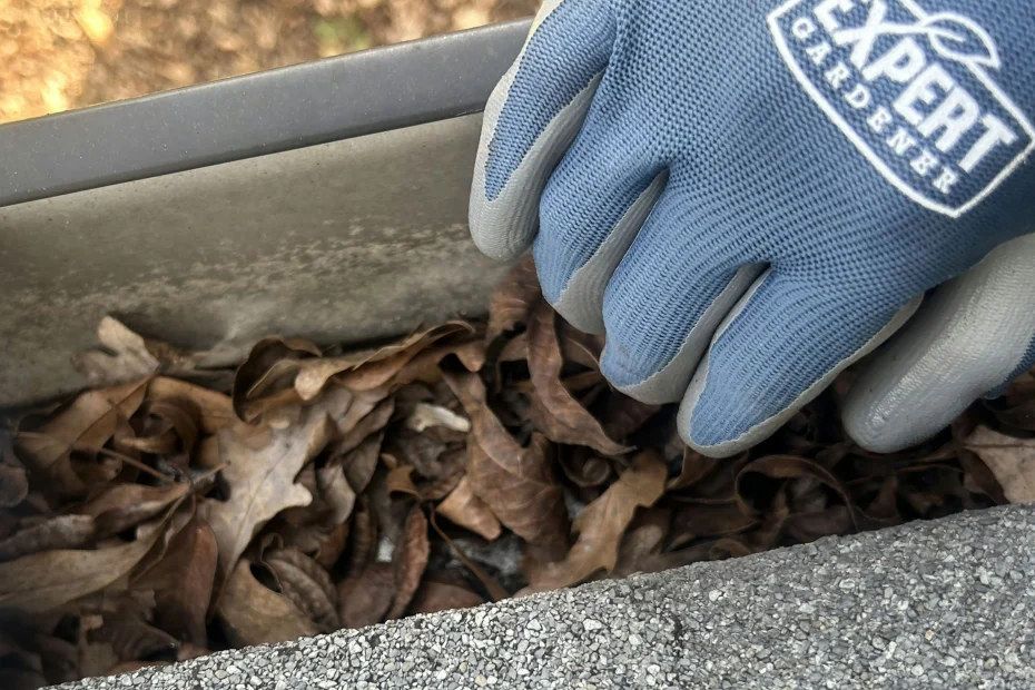 Gutter Cleaning Madison AL